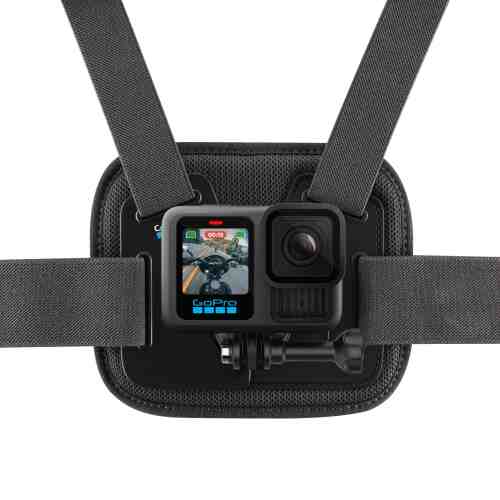 GoPro Chesty
