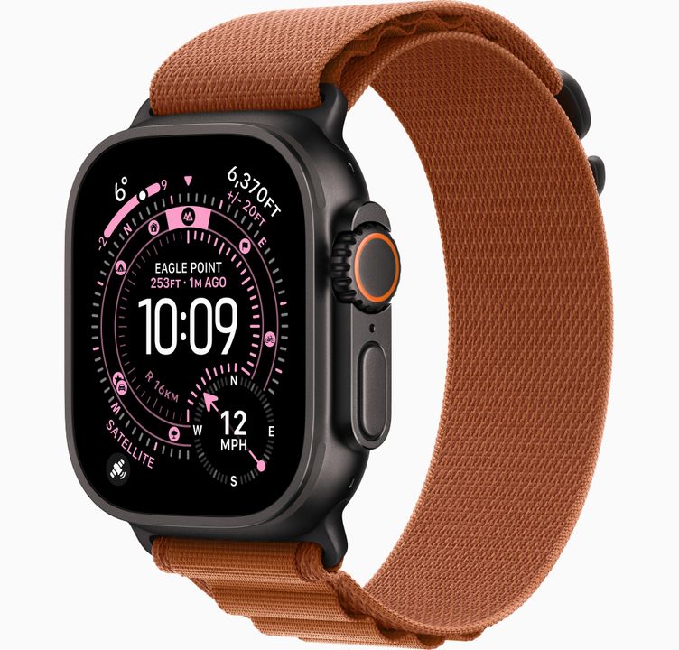 Apple 49mm Terra Cotta Alpine Loop - Medium - Black Titanium Finish